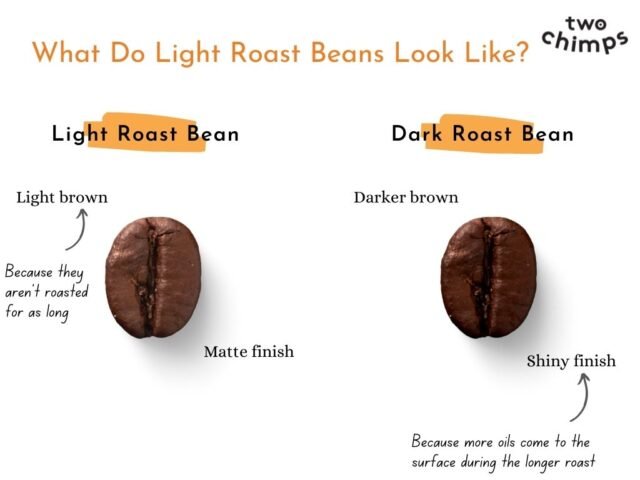 Light Roast Vs Dark Roast Coffee